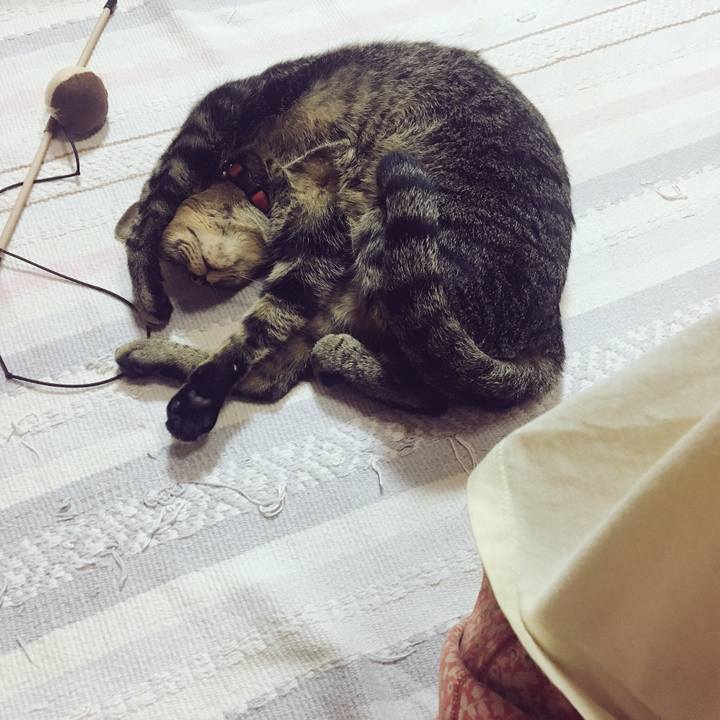 51aac0d9 398b 4431 9901 9f4a0ae48c20 1537799434203