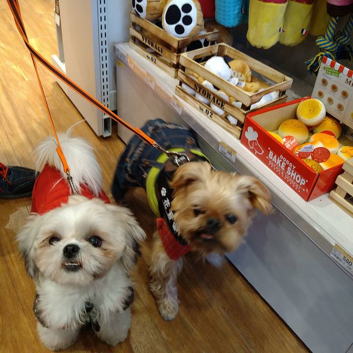 51aaf5fa 49f1 4192 9360 216d8f933425 1608865483983