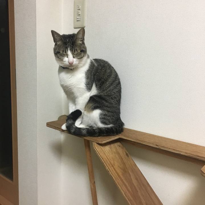 51ab149a 37d0 4b3e b8c6 ea5d7eef4703 1521591617832