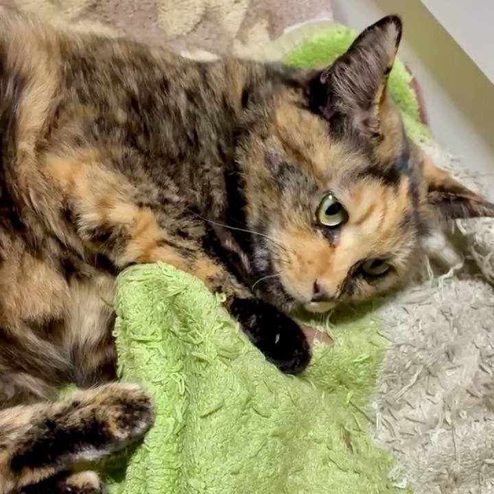 51ab8d57 6e35 4f58 b6d2 ce1dc3d4b018 1765793139593