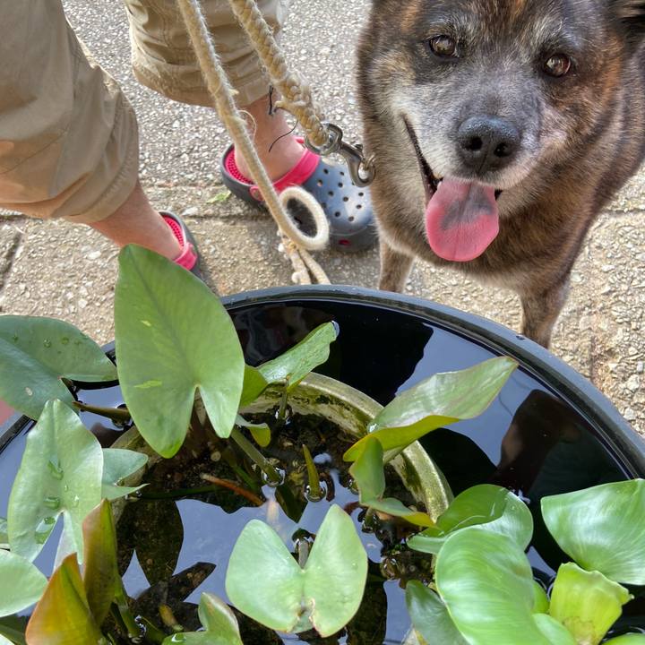 51ab8edf 60aa 4c78 bb02 ee74f0e5fcf7 1626252938404