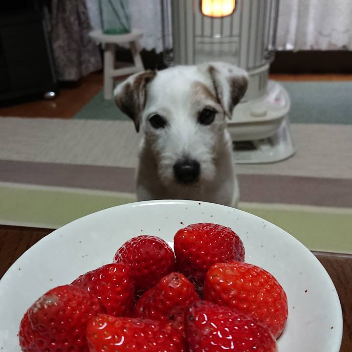 51abaa41 0bbd 4dbd a83d f902f83c8b76 1579823241078