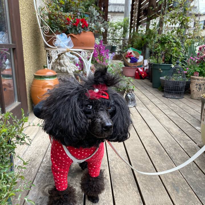 51ababce f8c6 4e34 8111 6e0f7f46820b 1648516077996