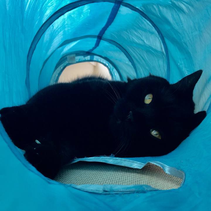 51abb19d f887 418c 9e6a a22ef69065ff 1592608257928