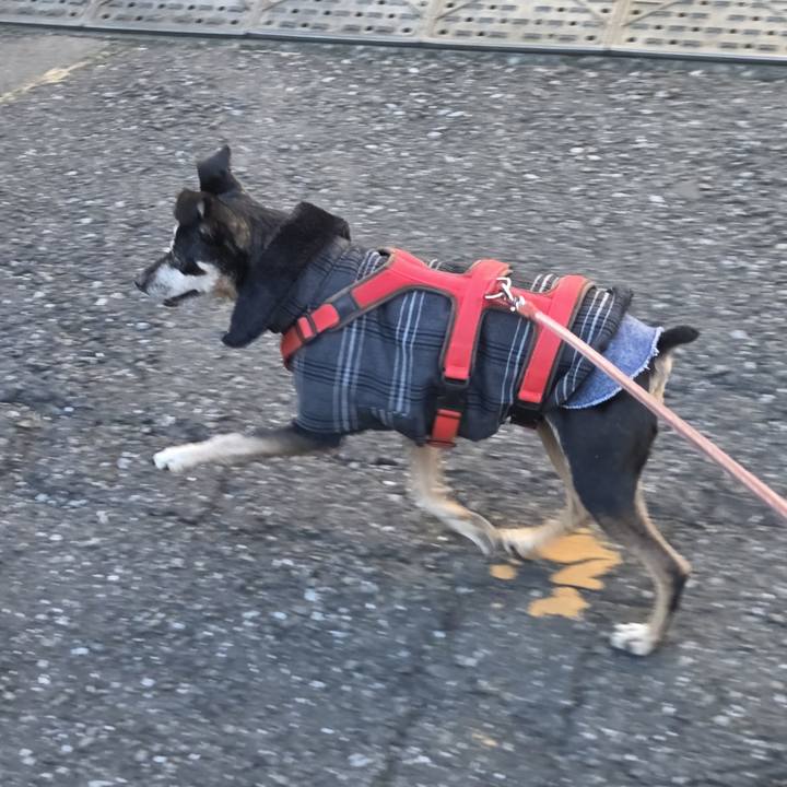 51abd5cd bd68 4363 b485 b431c6981db4 1769218492739