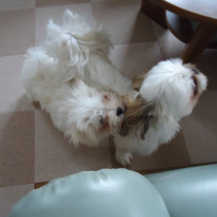 51abe06f 5498 4051 9dc9 2d44d5d0a7a0 1522713099993