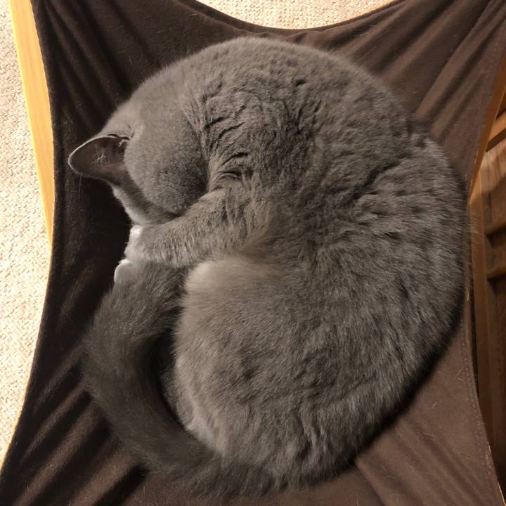 51abe661 c190 41ef b635 0a14554f8384 1578476952885