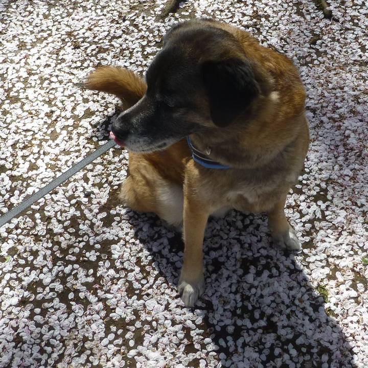 51abe782 ef9b 4c44 8f40 3cf85eced7e8 1579605318768