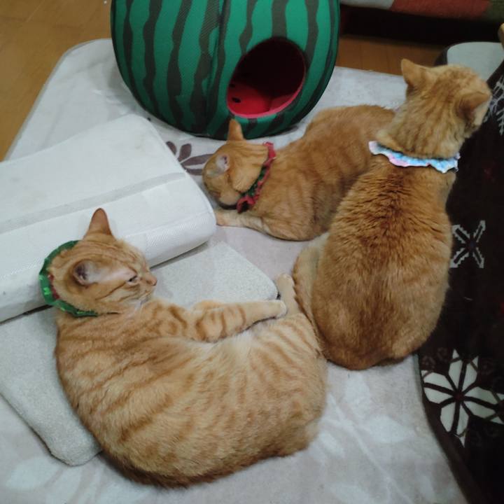 51ac3e94 205c 461a b4d2 8a276d0543ba 1642065341825