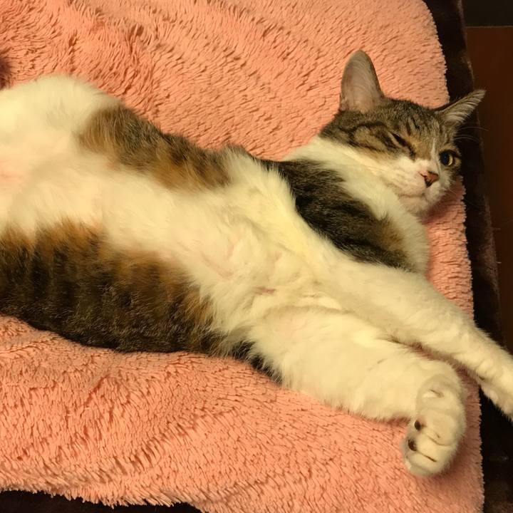 51ac8c0d 071f 48bd 995b b6085888f788 1525197332145