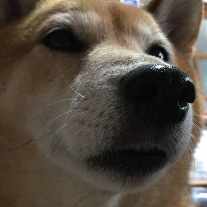 51aceb23 7a23 4a95 9b9b cca1792d2da5 1543039514355