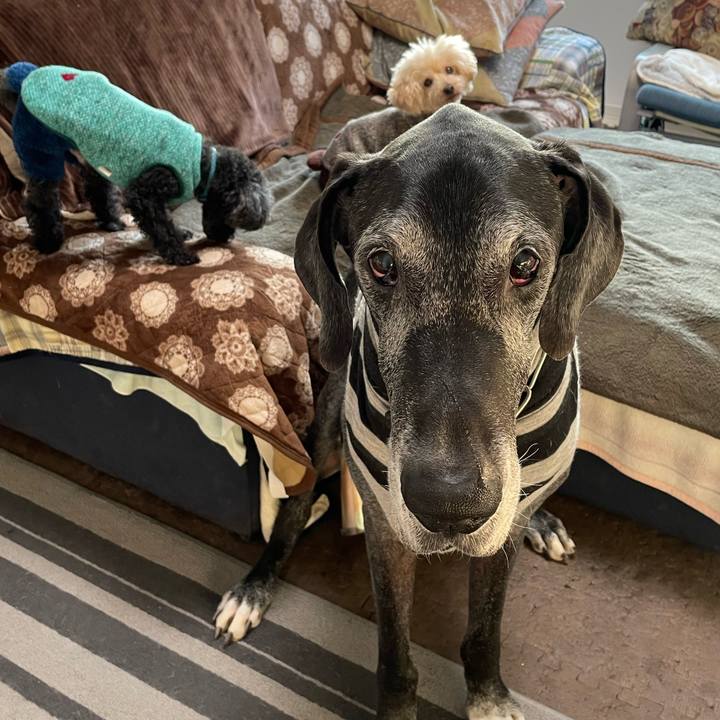 51acf41d e8b0 4f04 848c 0c9697a17fdc 1643149900942