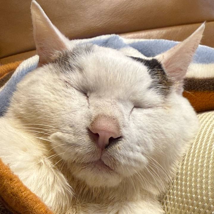 51acf78c 444f 4300 b3d3 1d0ce74e98e5 1770639721596