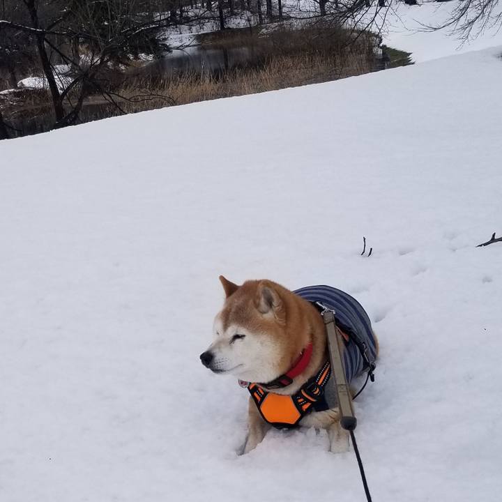 51ad015b c6a1 4a81 b2a9 9d1a2926eb96 1709695411893