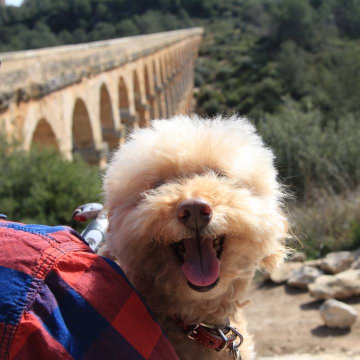 51ad1b1d 6f4e 47c3 a07c 79e007f40766 1758635129141