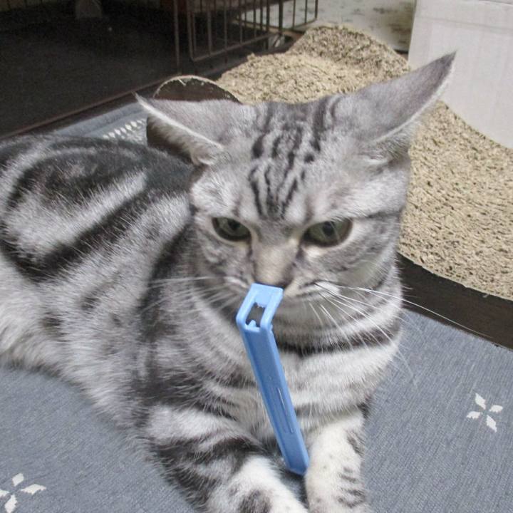 51ad4759 89d0 4f78 9289 c29eeb6fda26 1569917303002