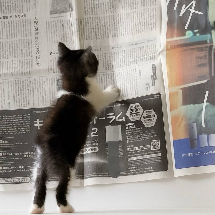 51ad5a9e 5c0d 4c85 b347 26fd3bb3b740 1755868310804