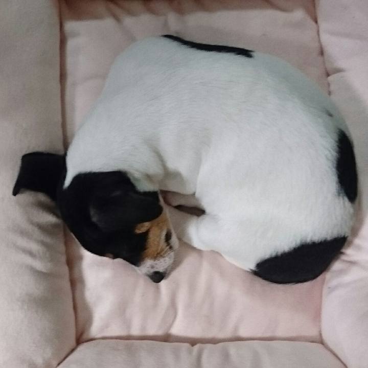 51ad6e7f bfc6 479b ba91 60a1c074eeb7 1511257678780