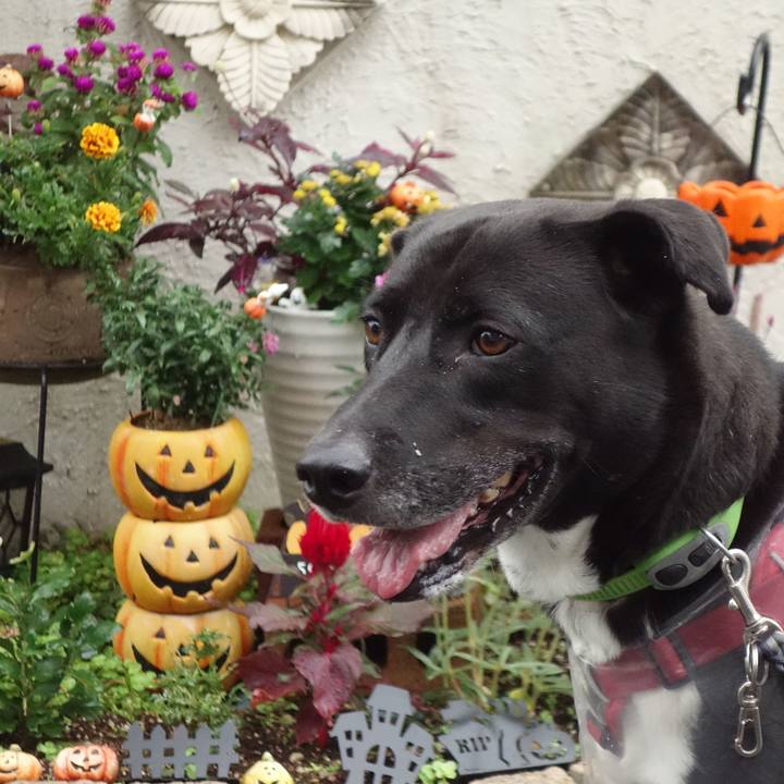 51ad867c 537c 4cde bd57 b122f385554c 1634085246453