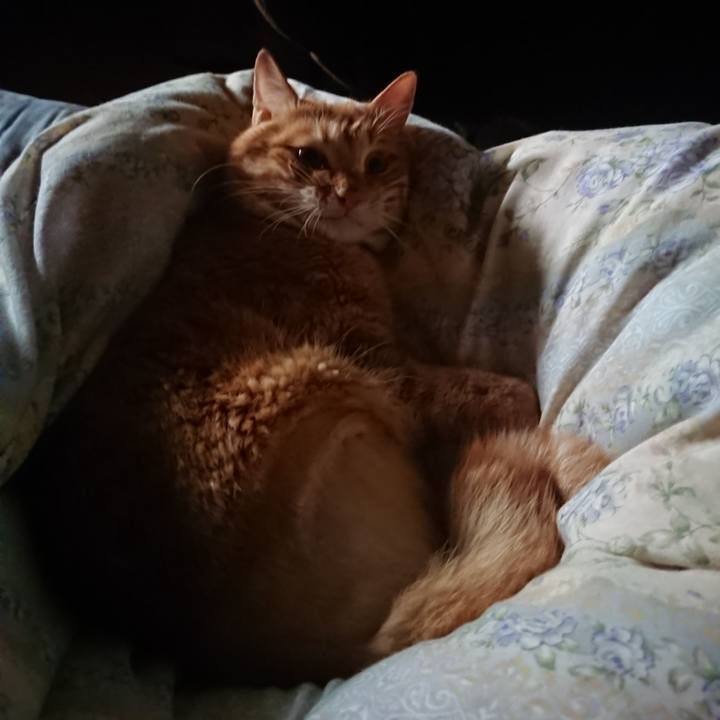 51ae074a 03cb 41bc b07d b8c72a26ca41 1654900207224