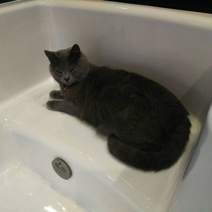 51ae16a7 b40a 4e91 9e76 6cf99343acaf 1519261751520