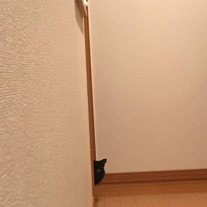 51ae415c 190f 45fc a81f 13c86195abae 1564149293529