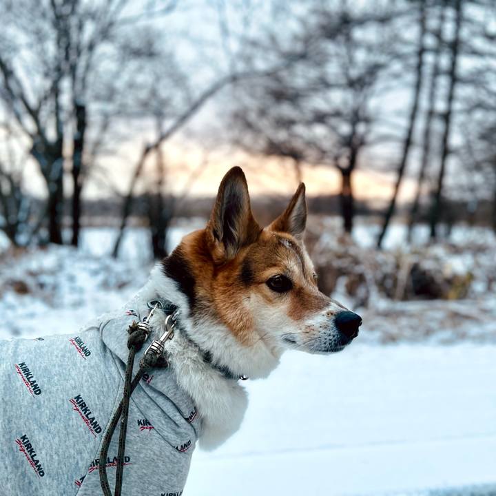 51ae4595 1b1b 44aa b22d 87d44d7ea1a8 1770453069978