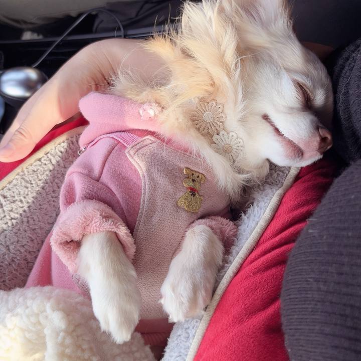 51ae57f5 cc69 4038 a326 142a9f88b68c 1735534061673