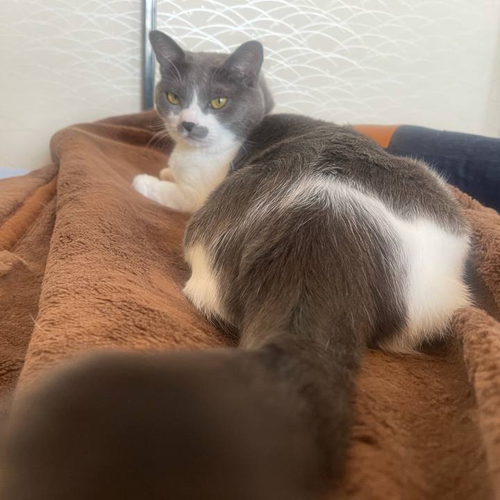 51ae5f4f d4c5 4586 af7c dbe66df32dc7 1635907078889