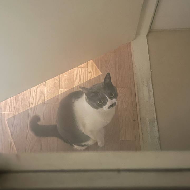 51ae80a3 ec5c 4dfb 95dd 8205e06d161c 1710478481877