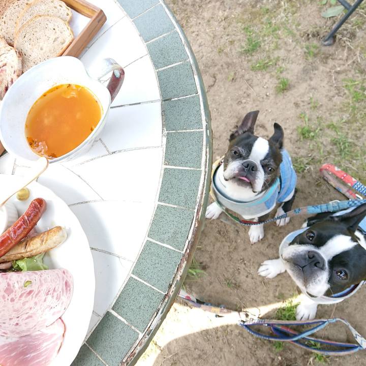 51ae810c c1d2 467f bb4d 4abf9a58f46b 1522573042026