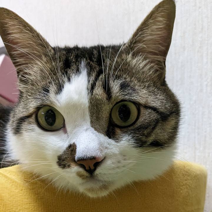 51ae9ab5 9e48 4deb 80b1 76c2fb536c38 1681273451166