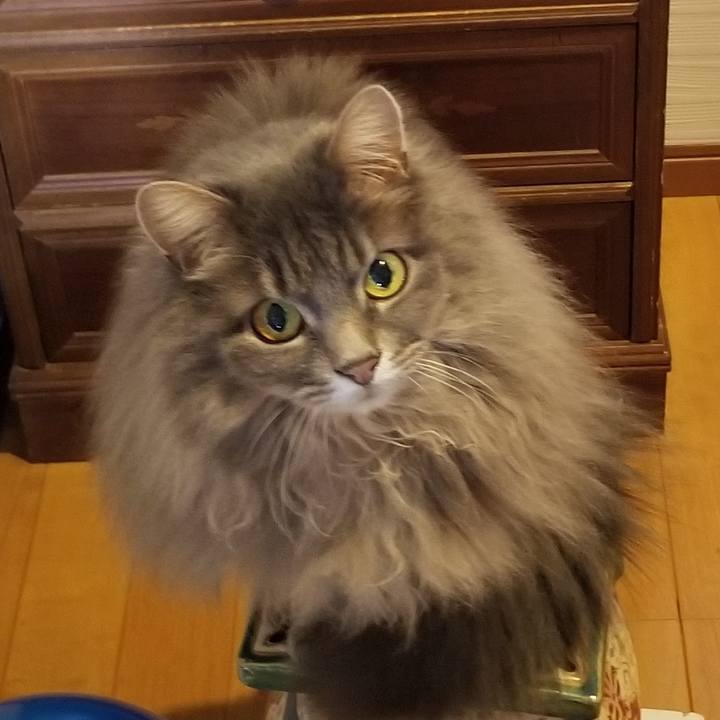 51aec4aa 8dc4 4eaf 92be 019cef0ae4b8 1586488516358