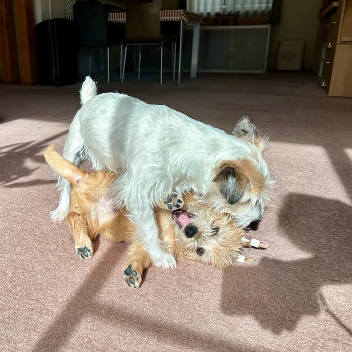 51aedce5 e5e3 48fc 814b fcda5b7e842b 1705649836658