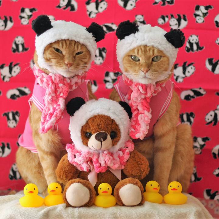 51af8d76 a857 4fff 9a71 670a3857335c 1517405030406