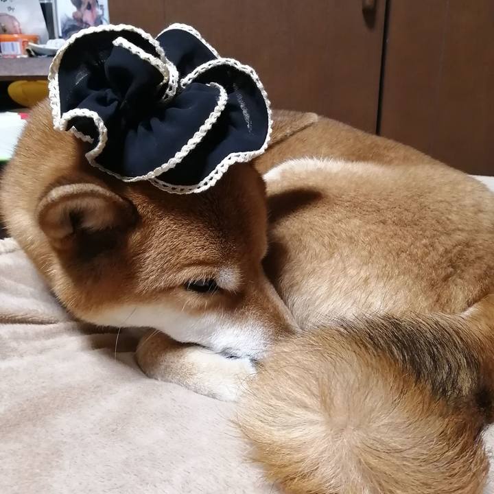 51af9856 3175 4f8a 9f03 0092919c4f30 1583590088983