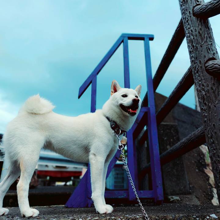 51afadb2 245d 4f23 a9e0 9325309f00fa 1657054326459