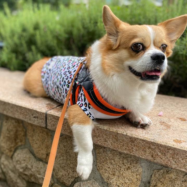 51afb811 c76d 4711 a9eb b9bacf1f0a9f 1722930930952