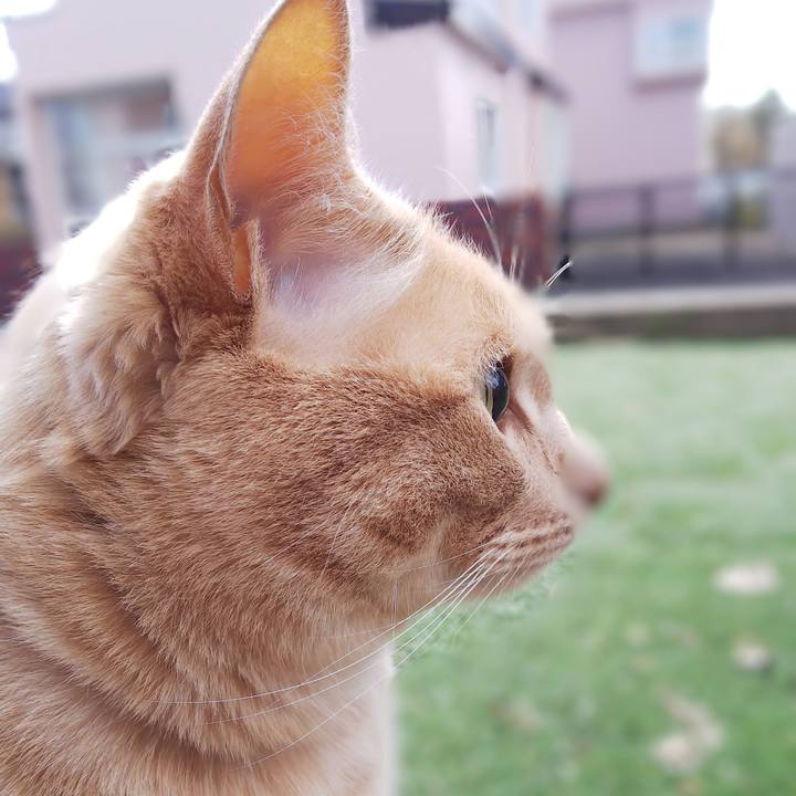 51afc482 6532 40c9 b634 b022890a7259 1651452648110