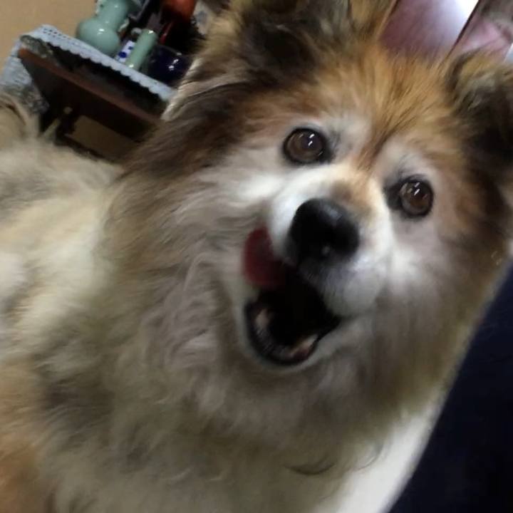 51aff7f4 5020 4561 99be 682c3a07be45 1564373392238