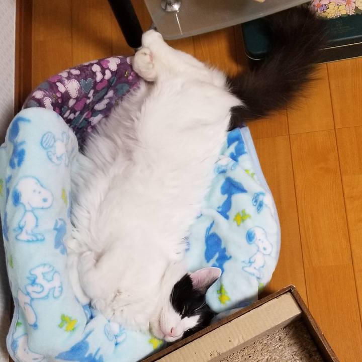 51affcd2 2a63 492a a196 6f1c6c34e31d 1548031035070