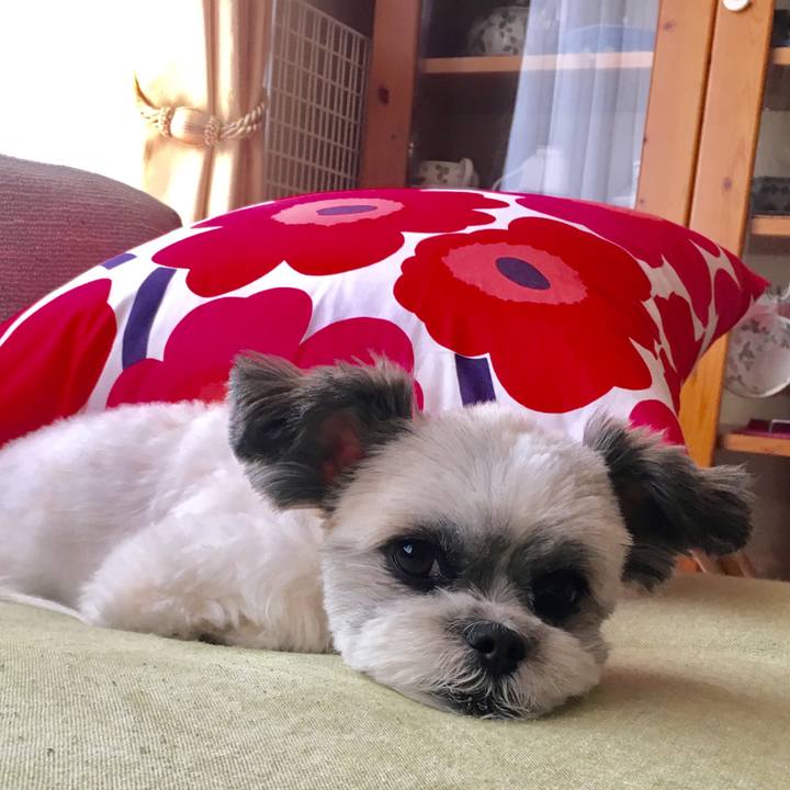 51afff34 40d7 4cb1 9f79 14df175f5e4e 1536802858458