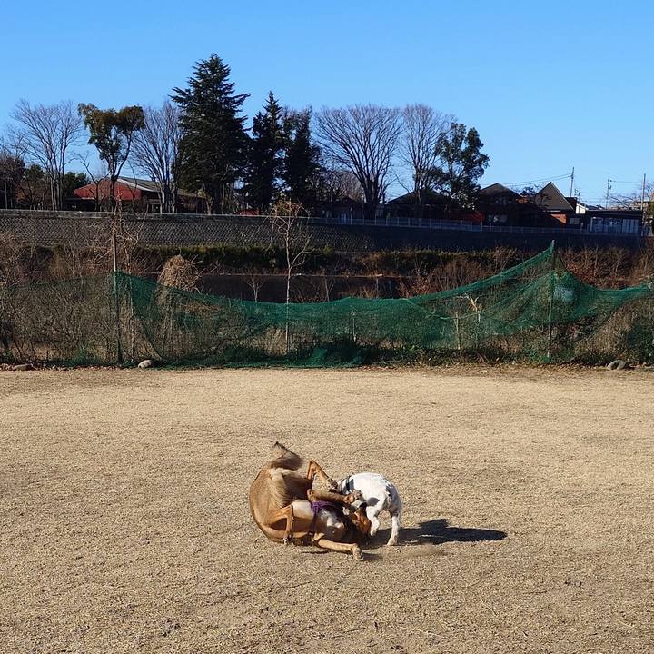 51b00403 b9f9 4270 9e37 32ac34c34c14 1740279699483