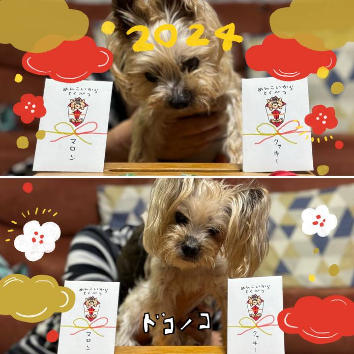 51b02928 3732 4894 94e7 5d8f882b6f33 1704272775479