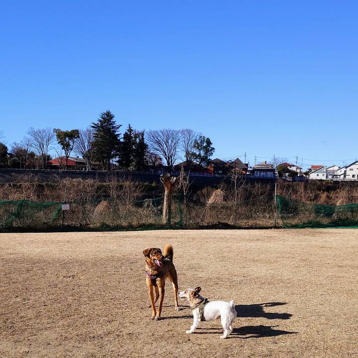 51b037ab f9bc 4542 b9fe 2eb56bfe8cca 1739586310399