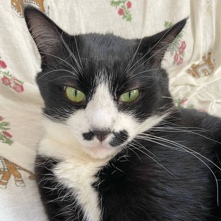 51b09dfe 5e1f 48f0 a21b a2e32a8d509b 1721604742892