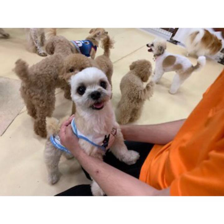 51b0a200 e1e7 4054 8ceb d35cbfb960f5 1561097711072