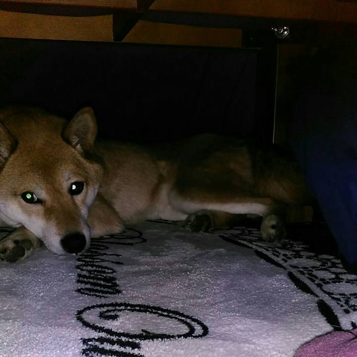 51b1091d 8130 45f3 b870 45ee8a9901b8 1549852642468