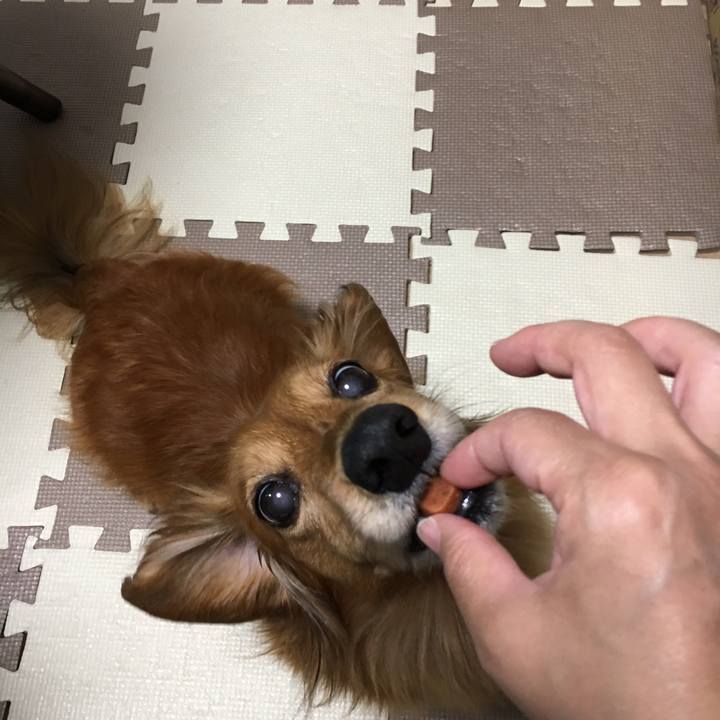 51b12f88 c3b1 4dd0 bcab 8296c5b1b5a4 1558792531843