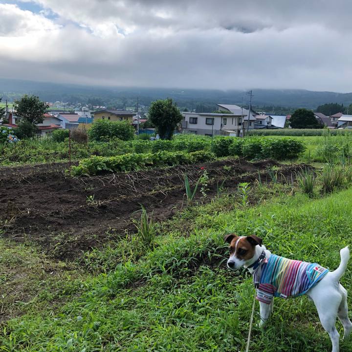 51b14990 6b5e 482b 982a 87edfc7c52c7 1596105285584